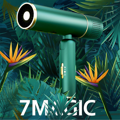 LumiDry™ High-Speed, Ionic Hair Dryer with Diffuser